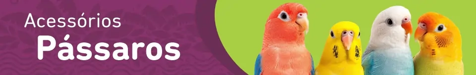 Banner Categoria