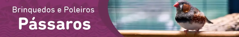 Banner Categoria