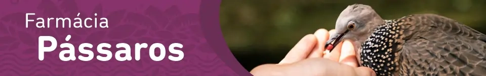 Banner Categoria