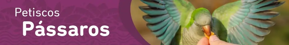Banner Categoria